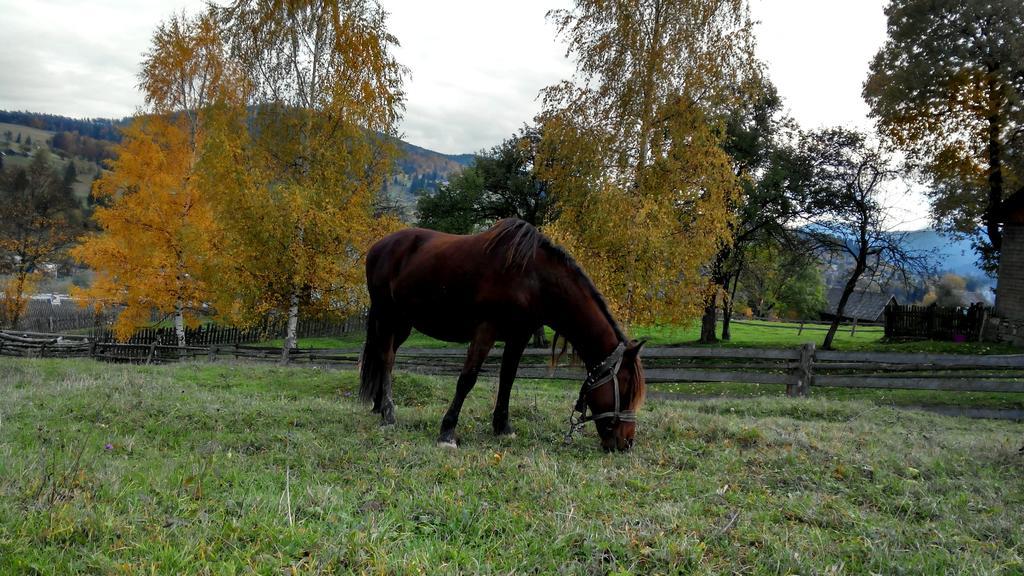 Cottage Ozerniy Lazeshchyna Bagian luar foto