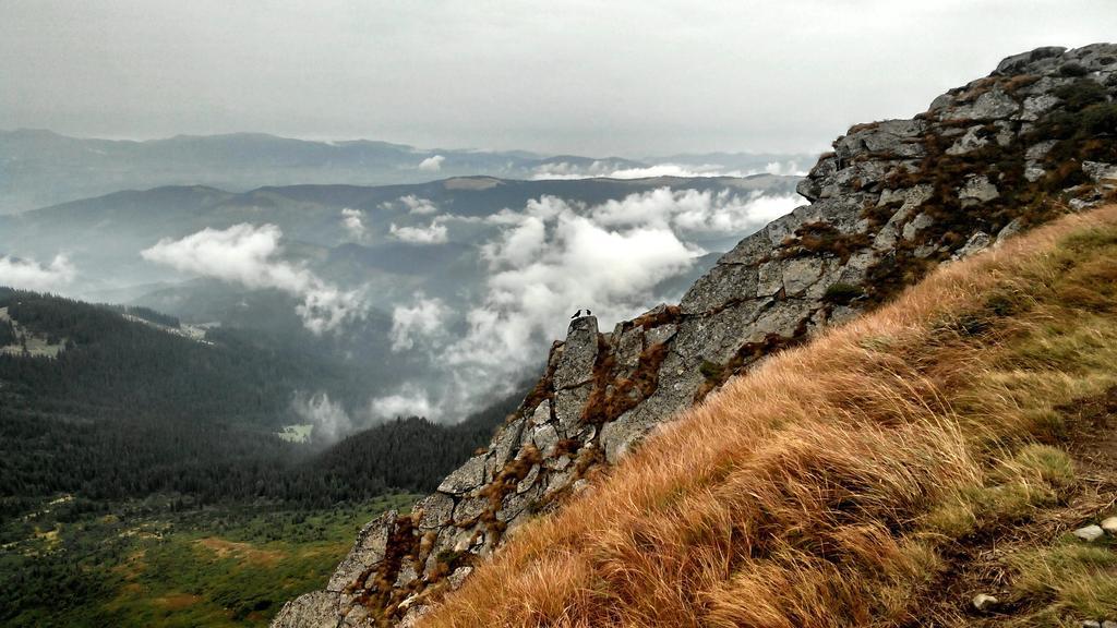 Cottage Ozerniy Lazeshchyna Bagian luar foto