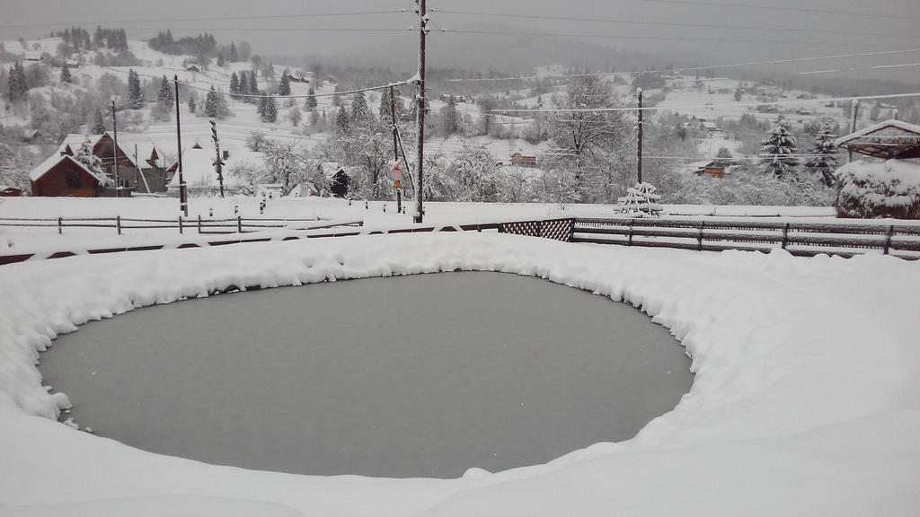 Cottage Ozerniy Lazeshchyna Bagian luar foto